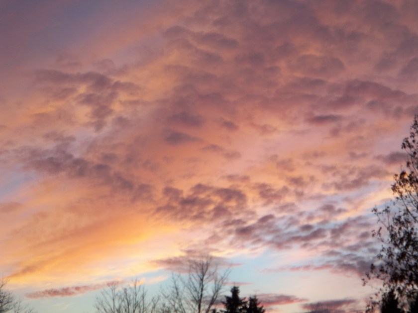 7fd2f-picturesandvideos125